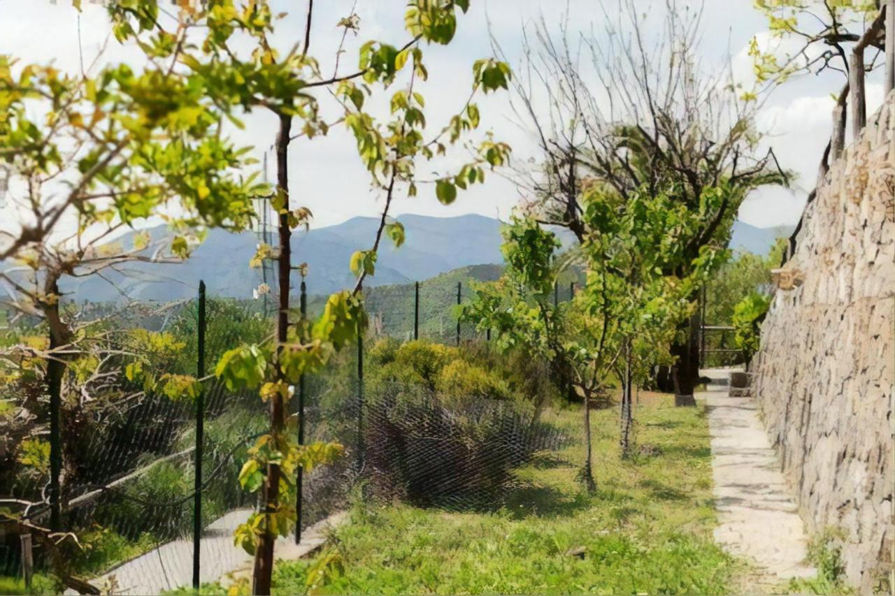 Casa Roberto B&B Savona Exterior foto